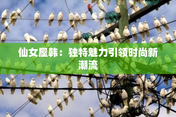 仙女屋韩：独特魅力引领时尚新潮流