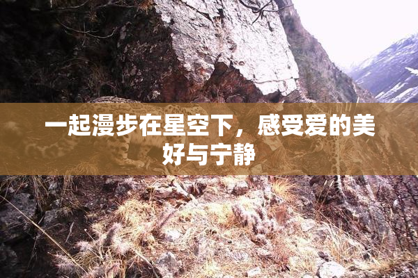 一起漫步在星空下，感受爱的美好与宁静