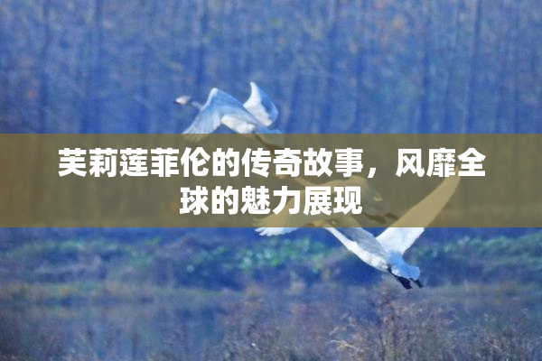 芙莉莲菲伦的传奇故事，风靡全球的魅力展现