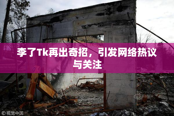 李了Tk再出奇招，引发网络热议与关注