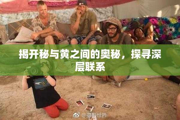 揭开秘与黄之间的奥秘，探寻深层联系