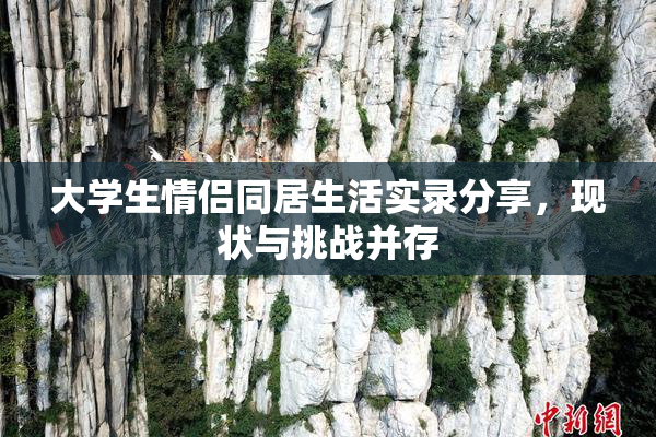 大学生情侣同居生活实录分享，现状与挑战并存