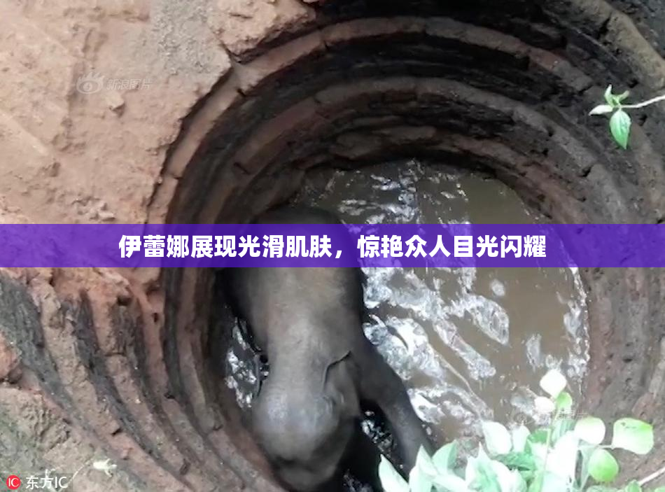 伊蕾娜展现光滑肌肤，惊艳众人目光闪耀