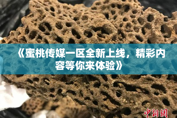 《蜜桃传媒一区全新上线，精彩内容等你来体验》