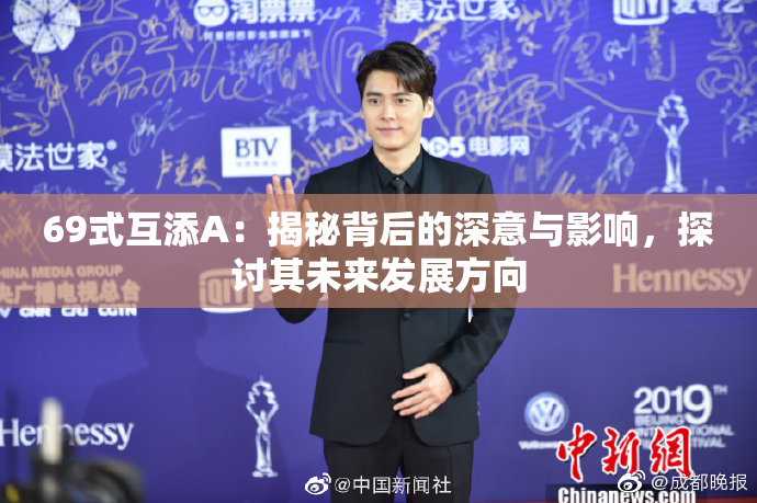 69式互添A：揭秘背后的深意与影响，探讨其未来发展方向