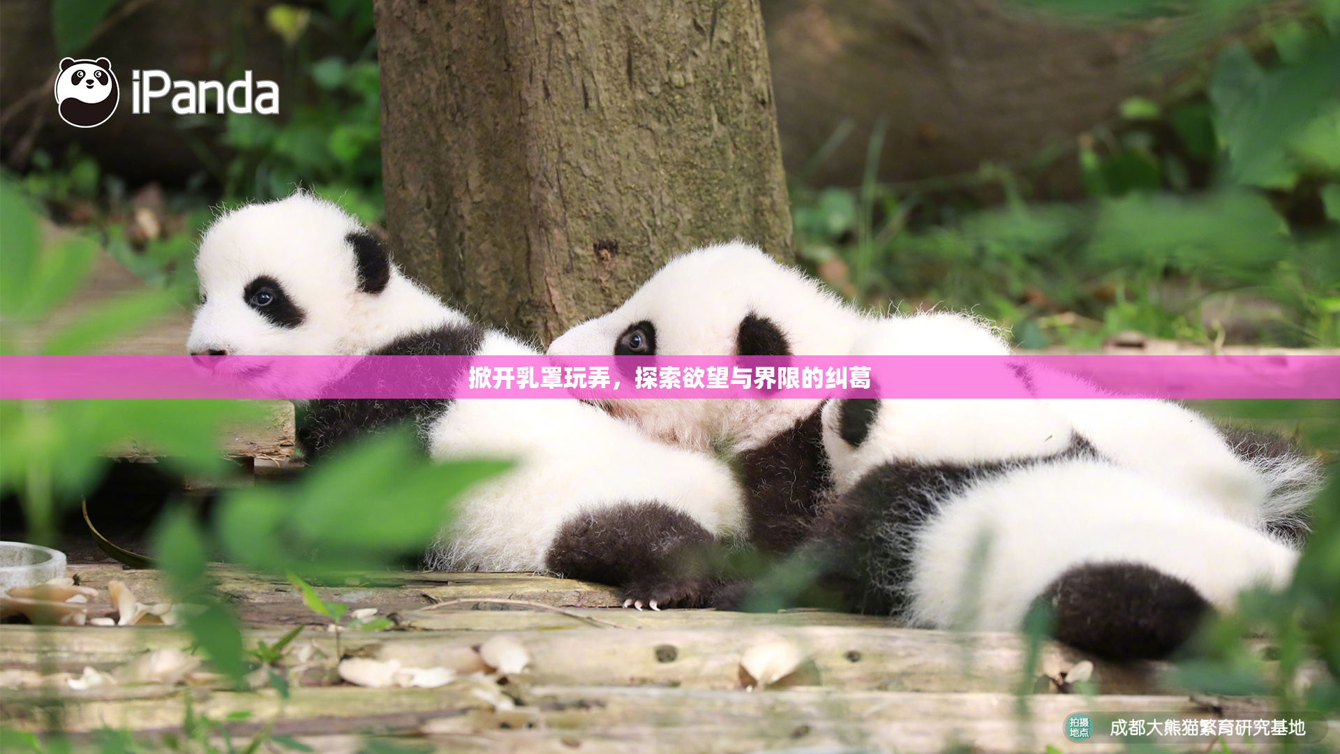 掀开乳罩玩弄，探索欲望与界限的纠葛