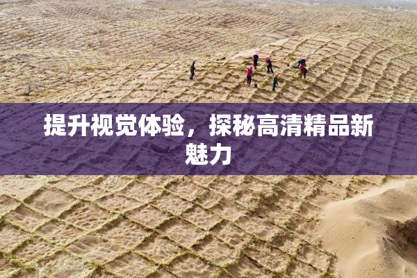 提升视觉体验，探秘高清精品新魅力