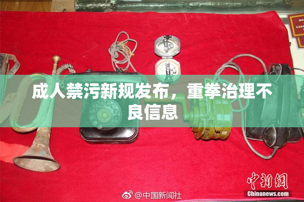 成人禁污新规发布，重拳治理不良信息
