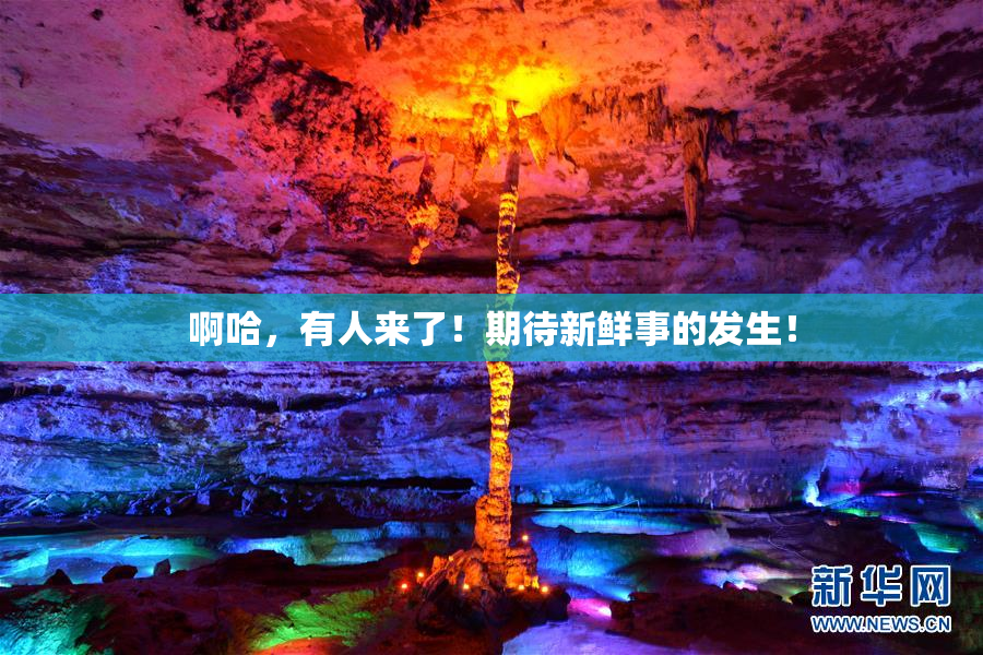 啊哈，有人来了！期待新鲜事的发生！