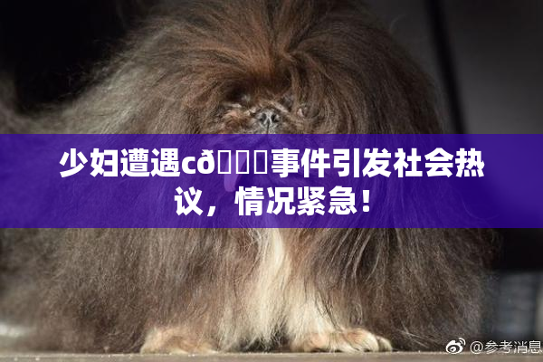 少妇遭遇c🔞事件引发社会热议，情况紧急！