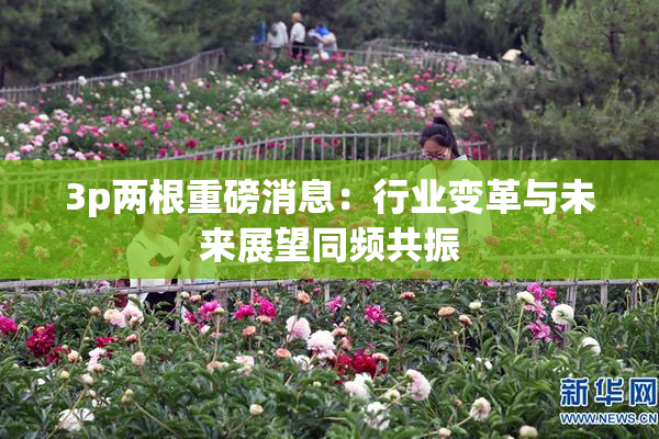3p两根重磅消息：行业变革与未来展望同频共振