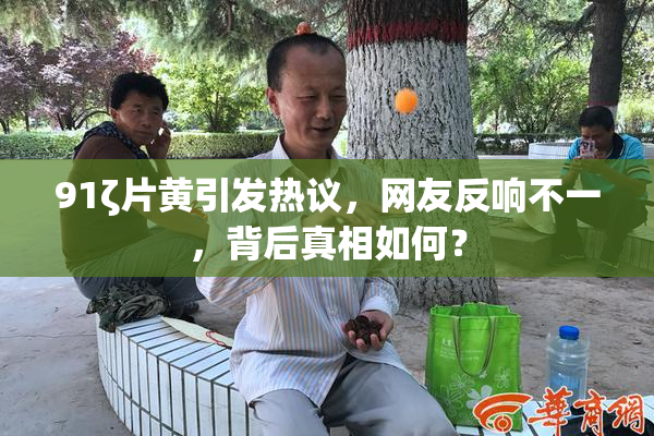91ζ片黄引发热议，网友反响不一，背后真相如何？