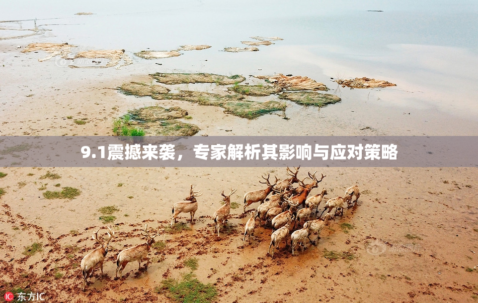 9.1震撼来袭，专家解析其影响与应对策略