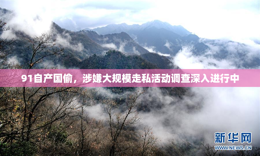 91自产国偷，涉嫌大规模走私活动调查深入进行中
