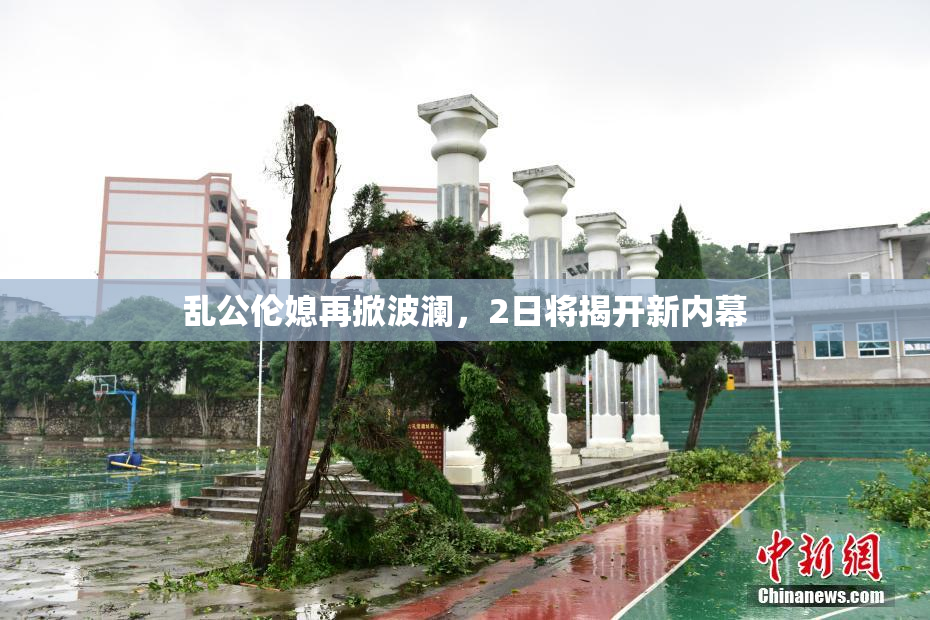 乱公伦媳再掀波澜，2日将揭开新内幕