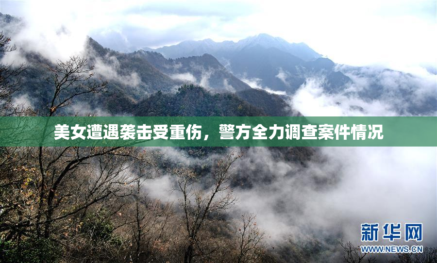 美女遭遇袭击受重伤，警方全力调查案件情况