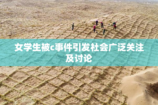女学生被c事件引发社会广泛关注及讨论