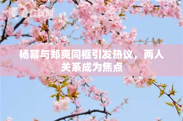 杨幂与郑爽同框引发热议，两人关系成为焦点