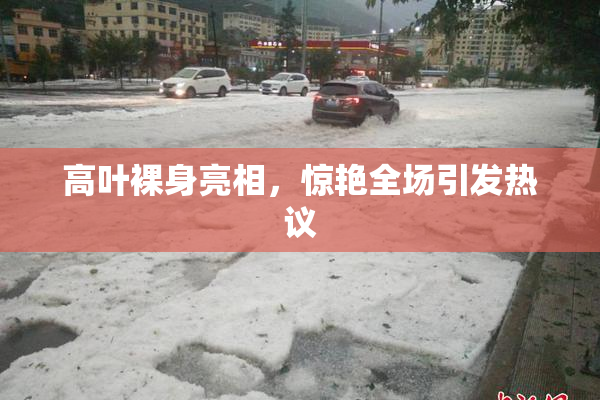 高叶裸身亮相，惊艳全场引发热议