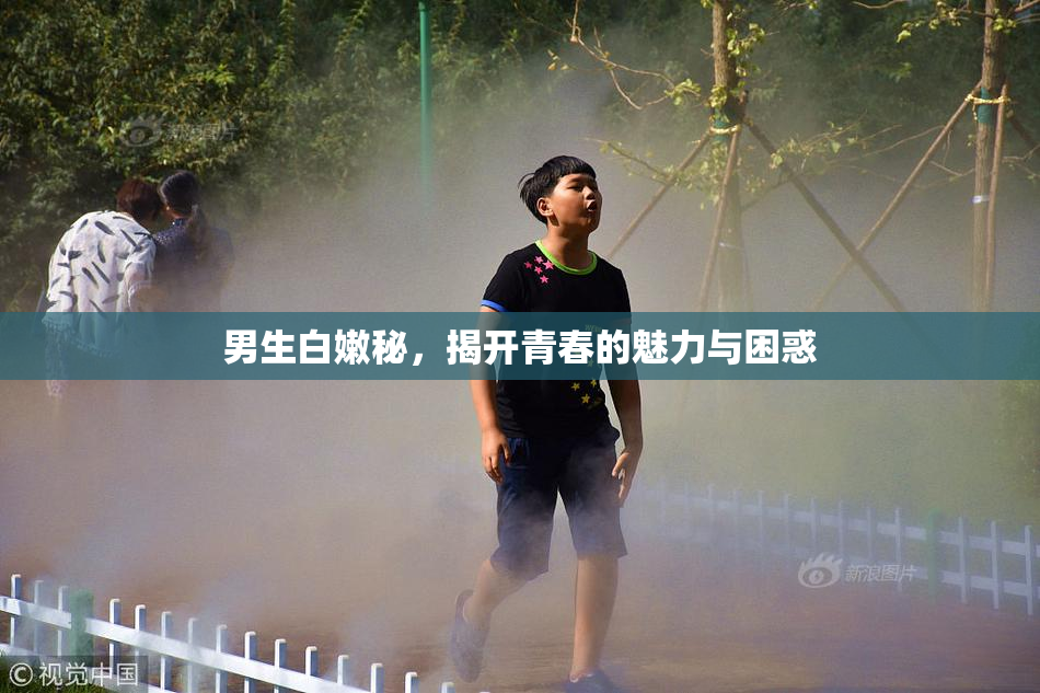 男生白嫩秘，揭开青春的魅力与困惑