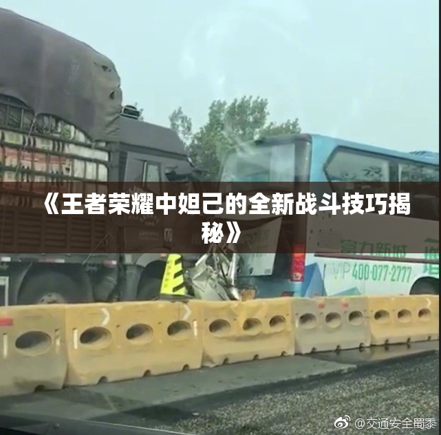 《王者荣耀中妲己的全新战斗技巧揭秘》