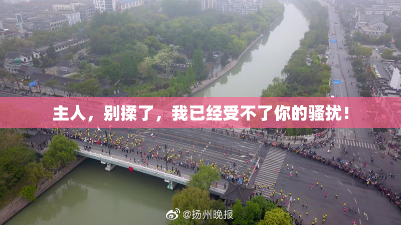 主人，别揉了，我已经受不了你的骚扰！