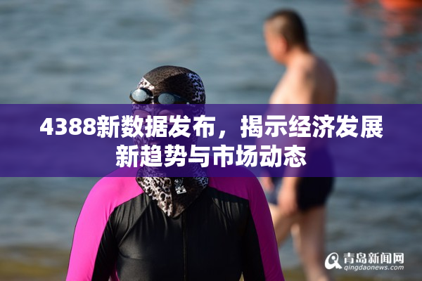 4388新数据发布，揭示经济发展新趋势与市场动态
