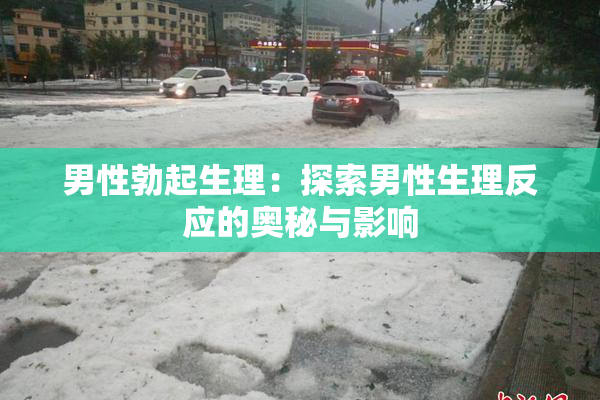 男性勃起生理：探索男性生理反应的奥秘与影响