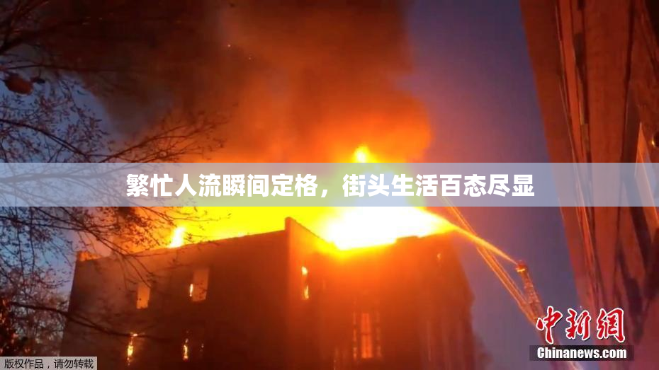 繁忙人流瞬间定格，街头生活百态尽显