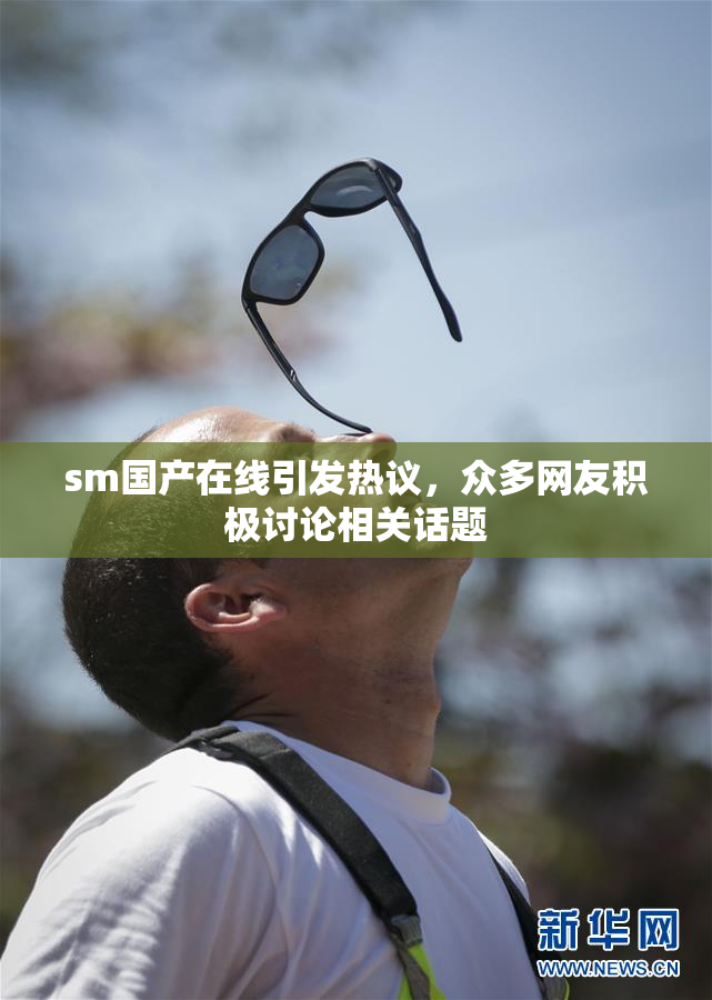 sm国产在线引发热议，众多网友积极讨论相关话题