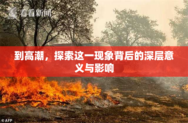 到高潮，探索这一现象背后的深层意义与影响