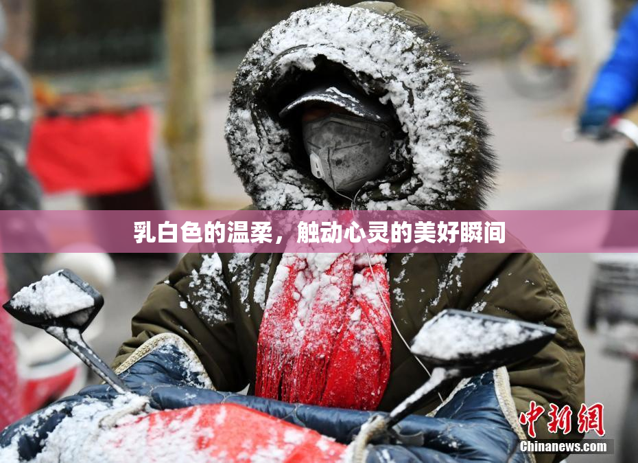 乳白色的温柔，触动心灵的美好瞬间