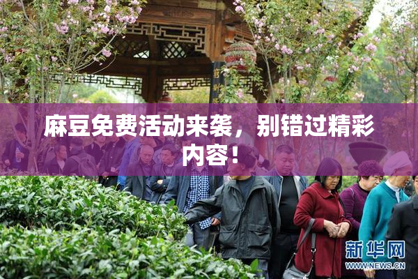 麻豆免费活动来袭，别错过精彩内容！