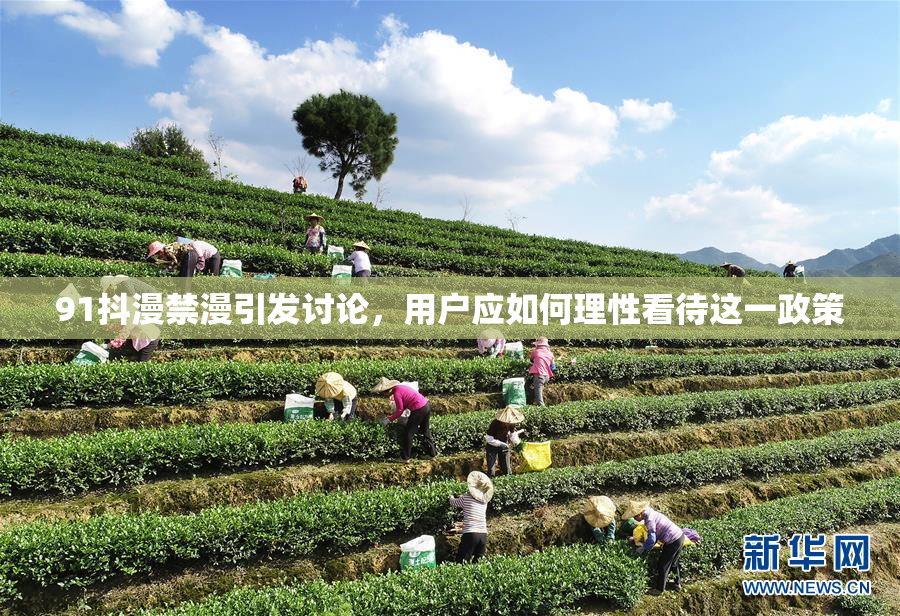 91抖漫禁漫引发讨论，用户应如何理性看待这一政策