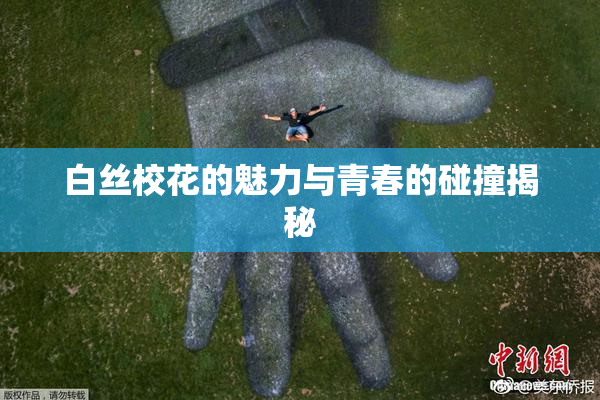 白丝校花的魅力与青春的碰撞揭秘
