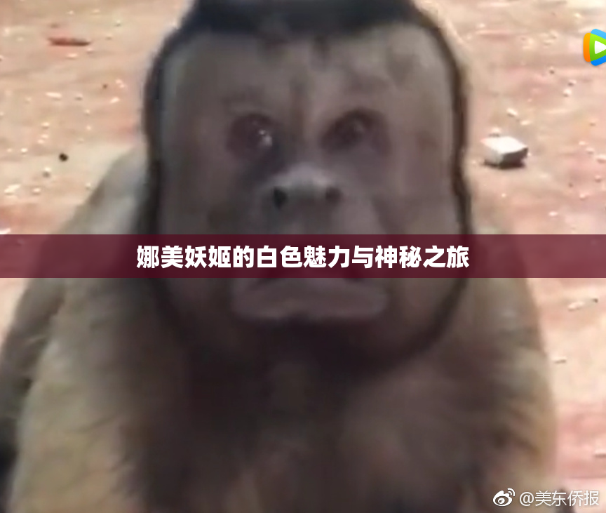 娜美妖姬的白色魅力与神秘之旅