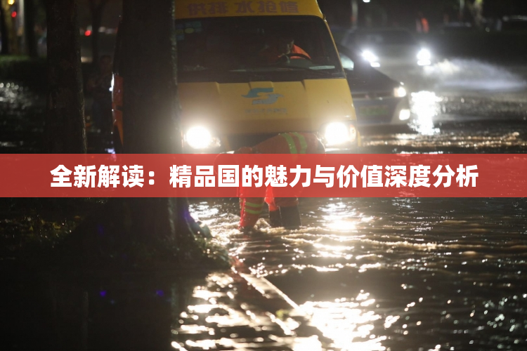 全新解读：精品国的魅力与价值深度分析