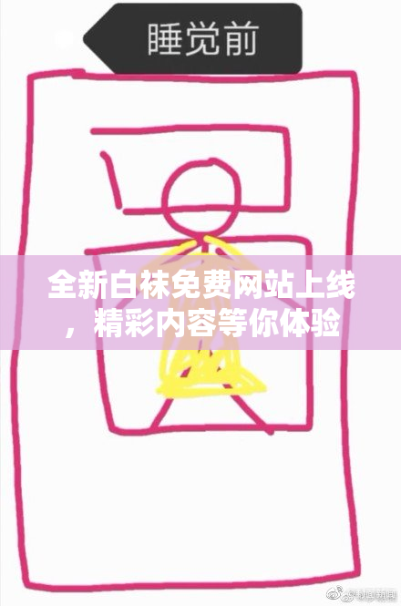 全新白袜免费网站上线，精彩内容等你体验