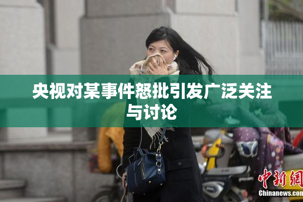 央视对某事件怒批引发广泛关注与讨论