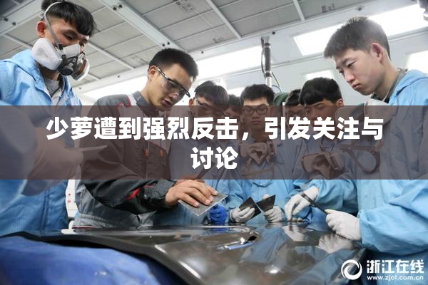 少萝遭到强烈反击，引发关注与讨论