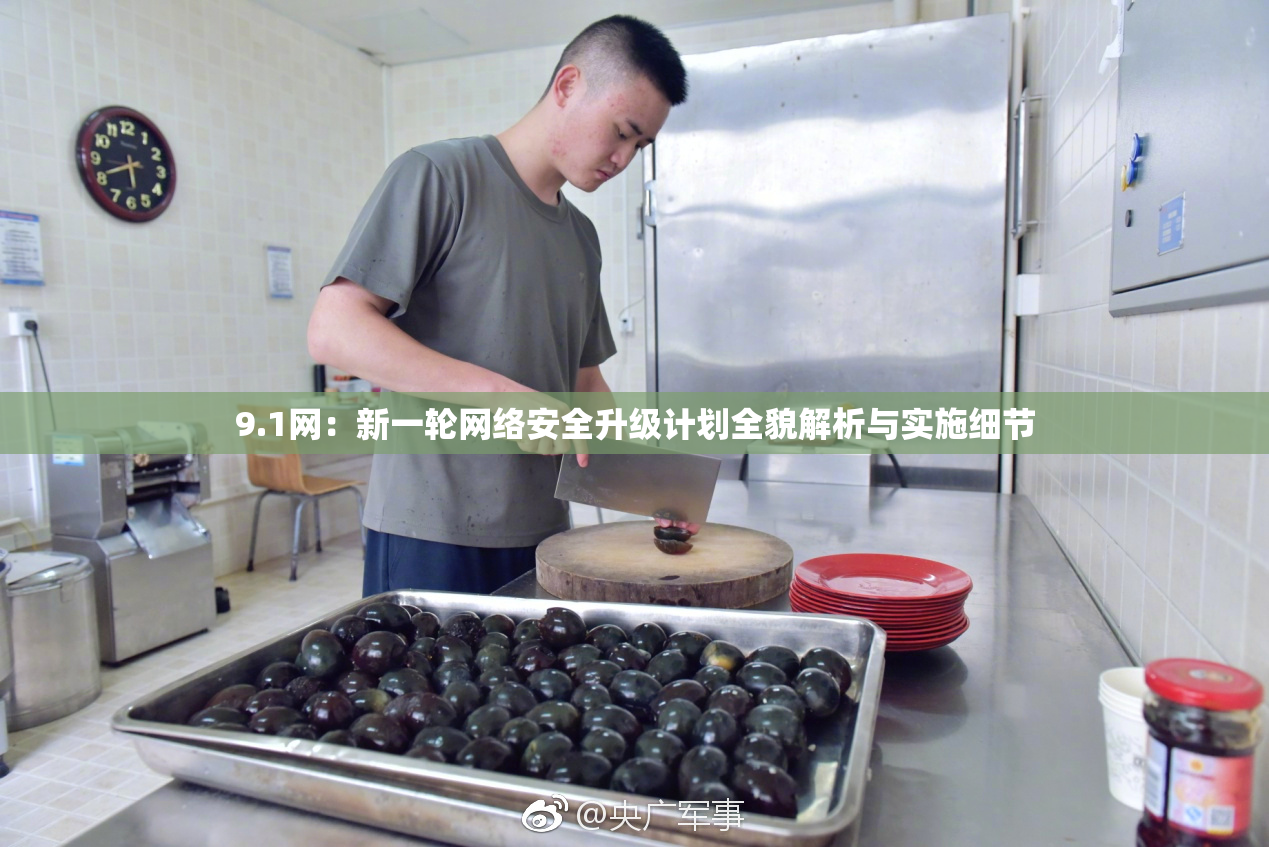 9.1网：新一轮网络安全升级计划全貌解析与实施细节