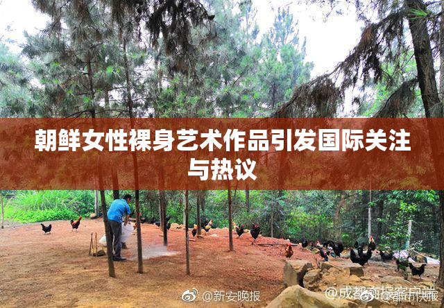 朝鲜女性裸身艺术作品引发国际关注与热议