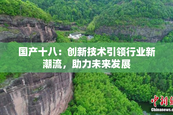 国产十八：创新技术引领行业新潮流，助力未来发展