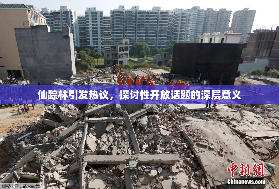 仙踪林引发热议，探讨性开放话题的深层意义
