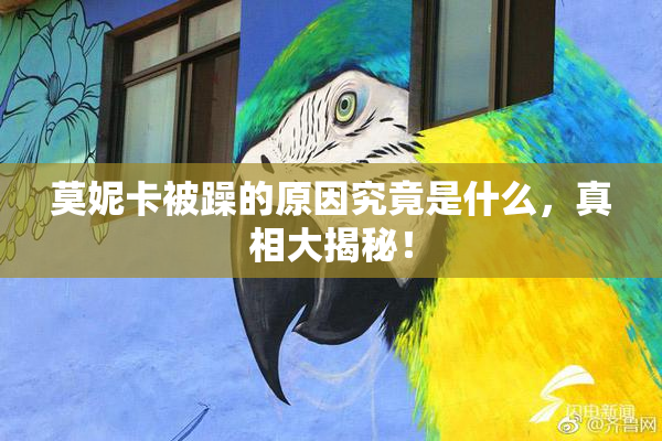 莫妮卡被躁的原因究竟是什么，真相大揭秘！