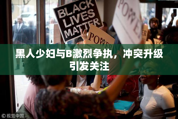 黑人少妇与B激烈争执，冲突升级引发关注