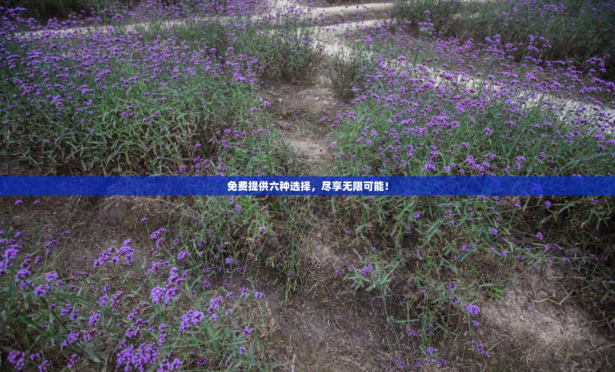 免费提供六种选择，尽享无限可能！