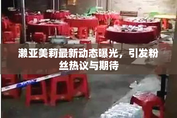 濑亚美莉最新动态曝光，引发粉丝热议与期待