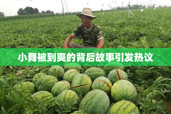 小舞被到爽的背后故事引发热议