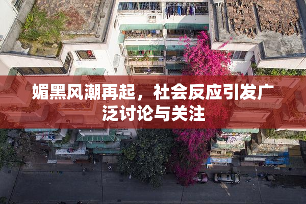 媚黑风潮再起，社会反应引发广泛讨论与关注